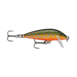 Freshwater Hard Body Lures Rapala Countdown Hard Body Lure 3cm Brook Trout