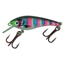 Freshwater Hard Body Lures Neptune Trout Minnow Hard Body Lure 50mm Rainbow Trout