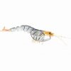 Savage Gear Soft Plastic Lures Savage 3D Shrimp Soft Plastic Lure 2.5in Blue Tan 2 Savage Gear Soft Plastic Lures Savage 3D Shrimp Soft Plastic Lure 2.5in Blue Tan -Fishing Lures Sales Store BCF 387071 bluetan hi res