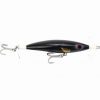RAPTOR LURES Estuary Surface Lures Raptor Fizz Bait Lure 11.5cm Black Gold 2 RAPTOR LURES Estuary Surface Lures Raptor Fizz Bait Lure 11.5cm Black Gold -Fishing Lures Sales Store BCF 597061 blackgold hi res
