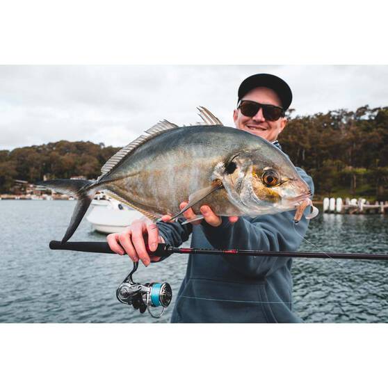 Soft Plastic Lures Daiwa BaitJunkie Grub Soft Plastic Lure 2.5in Motor Oil 4 Soft Plastic Lures Daiwa BaitJunkie Grub Soft Plastic Lure 2.5in Motor Oil - Image 2