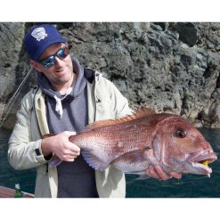 Soft Plastic Lures Daiwa BaitJunkie Grub Soft Plastic Lure 4in Motor Oil