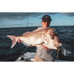 Soft Plastic Lures Daiwa BaitJunkie Jerkshad Soft Plastic Lure 7in Motor Oil -Fishing Lures Sales Store BCF 597296 04 motoroil hi res