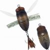 Freshwater Surface Lures Duo Realis Shinmushi 4cm Lure Semigara -Fishing Lures Sales Store BCF 597714 semigara hi res