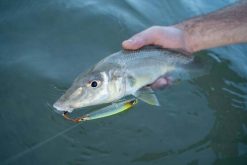 Daiwa Infeet Slippery Dog TG Tune Surface Lure 80mm Krill