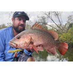 Estuary Surface Lures MMD Splash Prawn Surface Lure 70mm Sunburnt Jelly -Fishing Lures Sales Store BCF 605401 06 sunburntjelly hi res