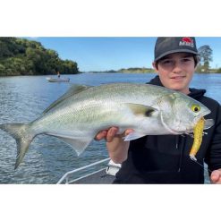 Estuary Surface Lures MMD Splash Prawn Surface Lure 70mm Sunburnt Jelly -Fishing Lures Sales Store BCF 605401 07 sunburntjelly hi res