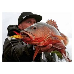 MMD Estuary Surface Lures Splash Prawn Surface Lures 95mm Sunburnt Jelly -Fishing Lures Sales Store BCF 605410 03 sunburntjelly hi res