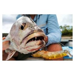 MMD Estuary Surface Lures Splash Prawn Surface Lures 95mm Sunburnt Jelly -Fishing Lures Sales Store BCF 605410 04 sunburntjelly hi res