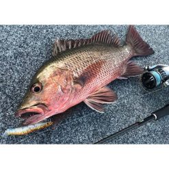 MMD Estuary Surface Lures Splash Prawn Surface Lures 95mm Sunburnt Jelly -Fishing Lures Sales Store BCF 605410 10 sunburntjelly hi res