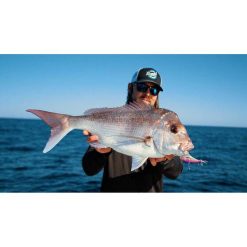 Soft Vibe Lures Nomad Vertrex Max Soft Vibe Lure 95mm Bleeding Mullet 8 Soft Vibe Lures Nomad Vertrex Max Soft Vibe Lure 95mm Bleeding Mullet -Fishing Lures Sales Store BCF 605900 01 bleedingmullet hi res