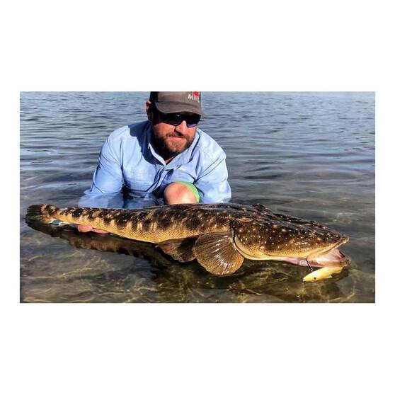 Swimbait And Glidebait Lures MMD Whiting Glide 180 Floating Suspending Glidebait 180mm Sand 7 Swimbait And Glidebait Lures MMD Whiting Glide 180 Floating Suspending Glidebait 180mm Sand - Image 5