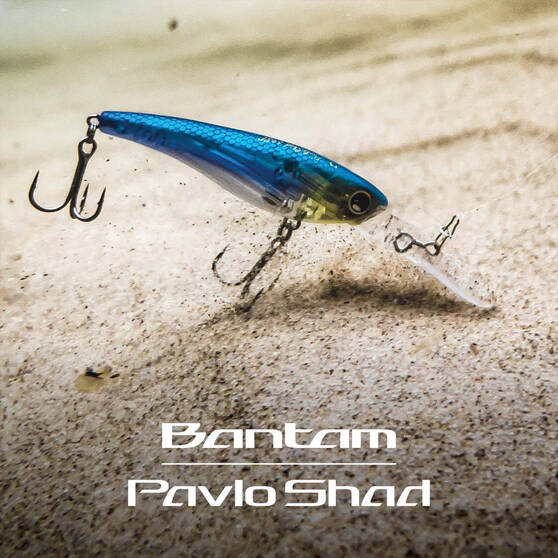 Estuary Hard Body Lures Shimano Bantam Pavlo Shad Lure 52mm 001 4 Estuary Hard Body Lures Shimano Bantam Pavlo Shad Lure 52mm 001 - Image 2