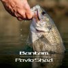 Estuary Hard Body Lures Shimano Bantam Pavlo Shad Lure 59mm 001 -Fishing Lures Sales Store BCF 619112 00 001 hi res