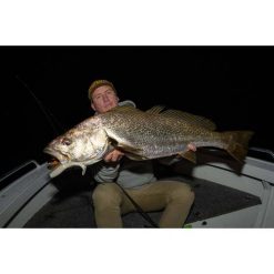 Soft Plastic Lures Daiwa Bait Junkie Minnow Soft Plastic Lure 4.2in Motor Oil UV -Fishing Lures Sales Store BCF 619457 03 motoroiluv hi res