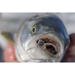 Soft Plastic Lures Berkley Powerbait Shrimp Soft Plastic Lure 2in Pink Glitter 17 Soft Plastic Lures Berkley Powerbait Shrimp Soft Plastic Lure 2in Pink Glitter -Fishing Lures Sales Store BCF 623041 07 pinkglitter hi res