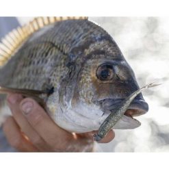 Soft Plastic Lures Berkley Powerbait Forktail Minnow Soft Plastic Lure 3.5in Bleak