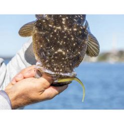 Soft Plastic Lures Berkley Powerbait Jerkshad Soft Plastic Lure 5in Bleak -Fishing Lures Sales Store BCF 623077 03 bleak hi res