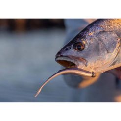 Soft Plastic Lures Berkley Powerbait Jerkshad Soft Plastic Lure 5in Bleak -Fishing Lures Sales Store BCF 623077 04 bleak hi res