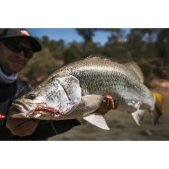 Soft Vibe Lures Berkley Shimma Shrimp Soft Vibe Lure 65mm Olive Shrimp -Fishing Lures Sales Store BCF 623122 05 oliveshrimp hi res