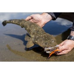 Soft Vibe Lures Berkley Shimma Shrimp Soft Vibe Lure 65mm Olive Shrimp -Fishing Lures Sales Store BCF 623122 06 oliveshrimp hi res