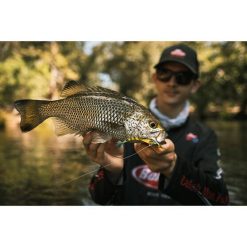 Soft Vibe Lures Berkley Shimma Shrimp Soft Vibe Lure 65mm Olive Shrimp -Fishing Lures Sales Store BCF 623122 08 oliveshrimp hi res