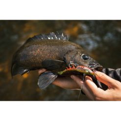 Soft Vibe Lures Berkley Shimma Shrimp Soft Vibe Lure 100mm Olive Shrimp -Fishing Lures Sales Store BCF 623130 04 oliveshrimp hi res