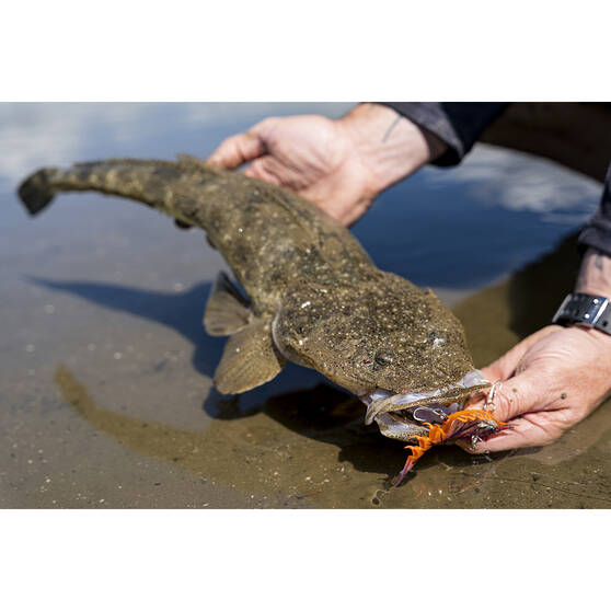 Soft Vibe Lures Berkley Shimma Shrimp Soft Vibe Lure 120mm Nuclear Shrimp 9 Soft Vibe Lures Berkley Shimma Shrimp Soft Vibe Lure 120mm Nuclear Shrimp - Image 7