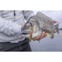 Soft Vibe Lures Berkley Shimma Shrimp Soft Vibe Lure 120mm Nuclear Shrimp 21 Soft Vibe Lures Berkley Shimma Shrimp Soft Vibe Lure 120mm Nuclear Shrimp -Fishing Lures Sales Store BCF 623138 09 nuclearshrimp hi res