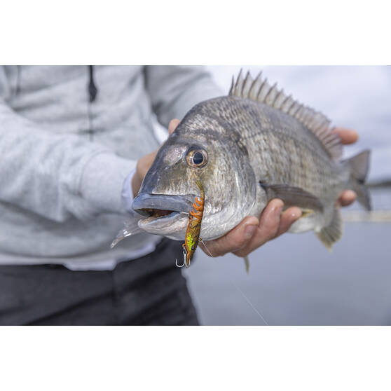 Soft Vibe Lures Berkley Shimma Shrimp Soft Vibe Lure 120mm Nuclear Shrimp 12 Soft Vibe Lures Berkley Shimma Shrimp Soft Vibe Lure 120mm Nuclear Shrimp - Image 10