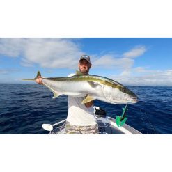 Bluewater Trolling And Gamefish Lures Nomad Slipstream Flying Fish Trolling Lure 200mm Ulysses 18 Bluewater Trolling And Gamefish Lures Nomad Slipstream Flying Fish Trolling Lure 200mm Ulysses -Fishing Lures Sales Store BCF 628959 04 ulysses hi res