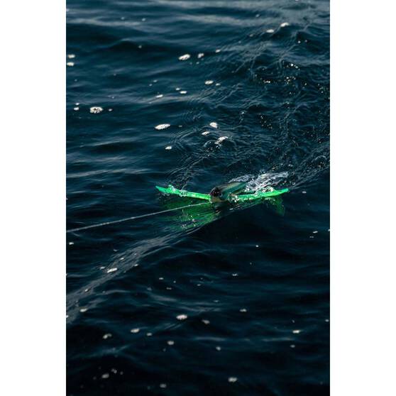 Bluewater Trolling And Gamefish Lures Nomad Slipstream Flying Fish Trolling Lure 200mm Ulysses 11 Bluewater Trolling And Gamefish Lures Nomad Slipstream Flying Fish Trolling Lure 200mm Ulysses - Image 9