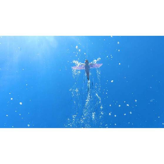 Bluewater Trolling And Gamefish Lures Nomad Slipstream Flying Fish Trolling Lure 200mm Ulysses 12 Bluewater Trolling And Gamefish Lures Nomad Slipstream Flying Fish Trolling Lure 200mm Ulysses - Image 10