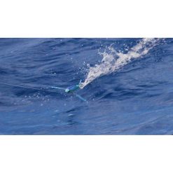 Bluewater Trolling And Gamefish Lures Nomad Slipstream Flying Fish Trolling Lure 200mm Ulysses 25 Bluewater Trolling And Gamefish Lures Nomad Slipstream Flying Fish Trolling Lure 200mm Ulysses -Fishing Lures Sales Store BCF 628959 11 ulysses hi res