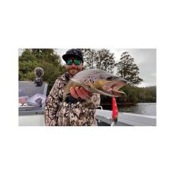 Hawk Lures Freshwater Hard Body Lures Hawk Sniper Hard Body Lure 60S Black Widow -Fishing Lures Sales Store BCF 636335 04 blackwidow hi res