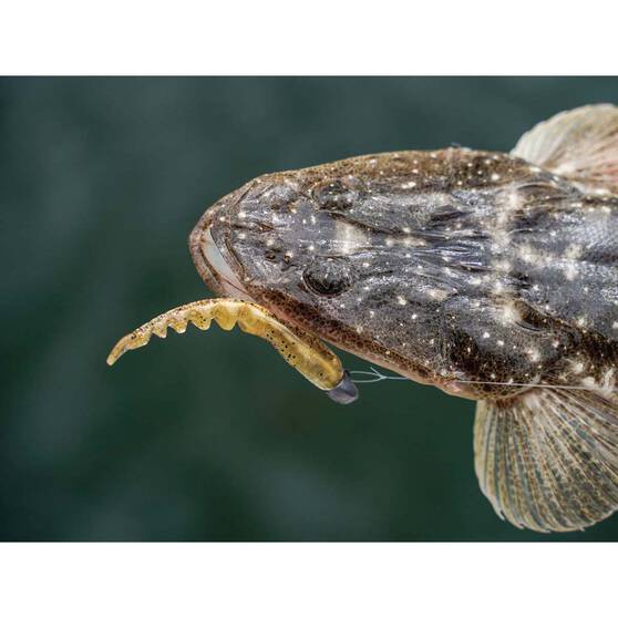 Soft Plastic Lures Berkley PowerBait Fan Tail Shrimp Soft Plastic Lure 3in Cappuccino 8 Soft Plastic Lures Berkley PowerBait Fan Tail Shrimp Soft Plastic Lure 3in Cappuccino - Image 6