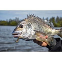 Soft Plastic Lures Berkley PowerBait Fan Tail Shrimp Soft Plastic Lure 4in Cappuccino -Fishing Lures Sales Store BCF 637698 02 cappuccino hi res