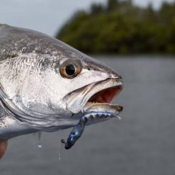 Soft Plastic Lures Berkley PowerBait Fan Tail Shrimp Soft Plastic Lure 4in Cappuccino -Fishing Lures Sales Store BCF 637698 04 cappuccino hi res